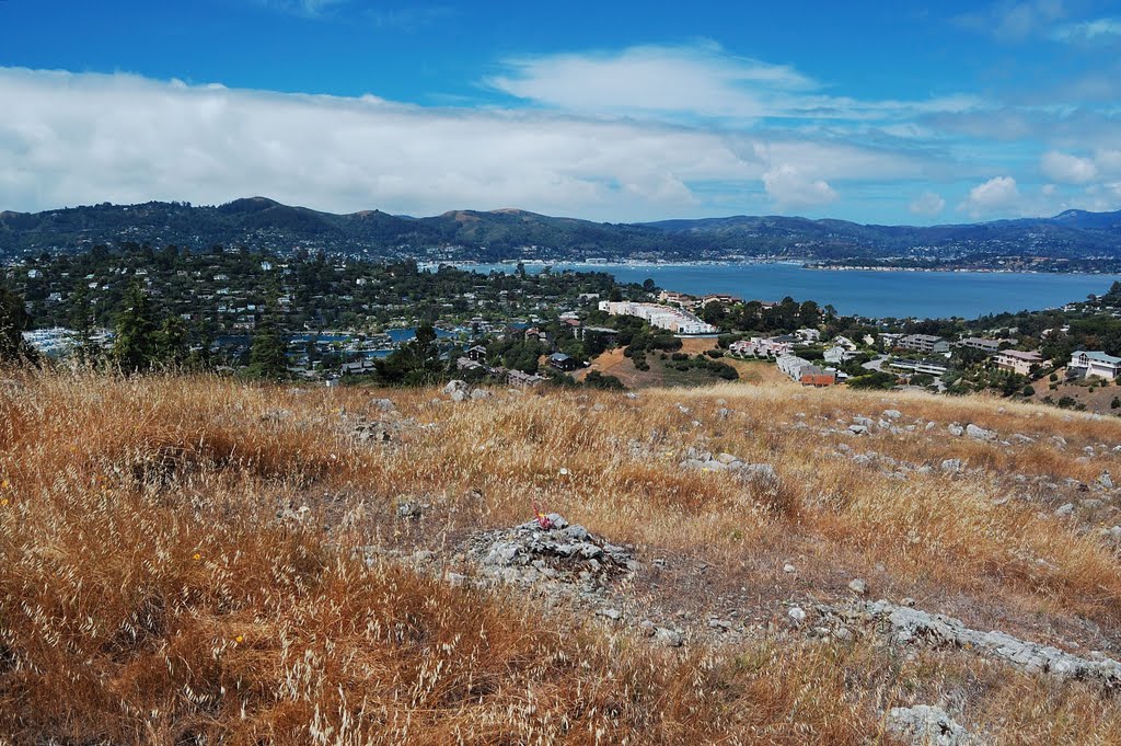 Tiburon Uplands Nature Preserve, Tiburon Belvedere, California by Lady GooGoo La La