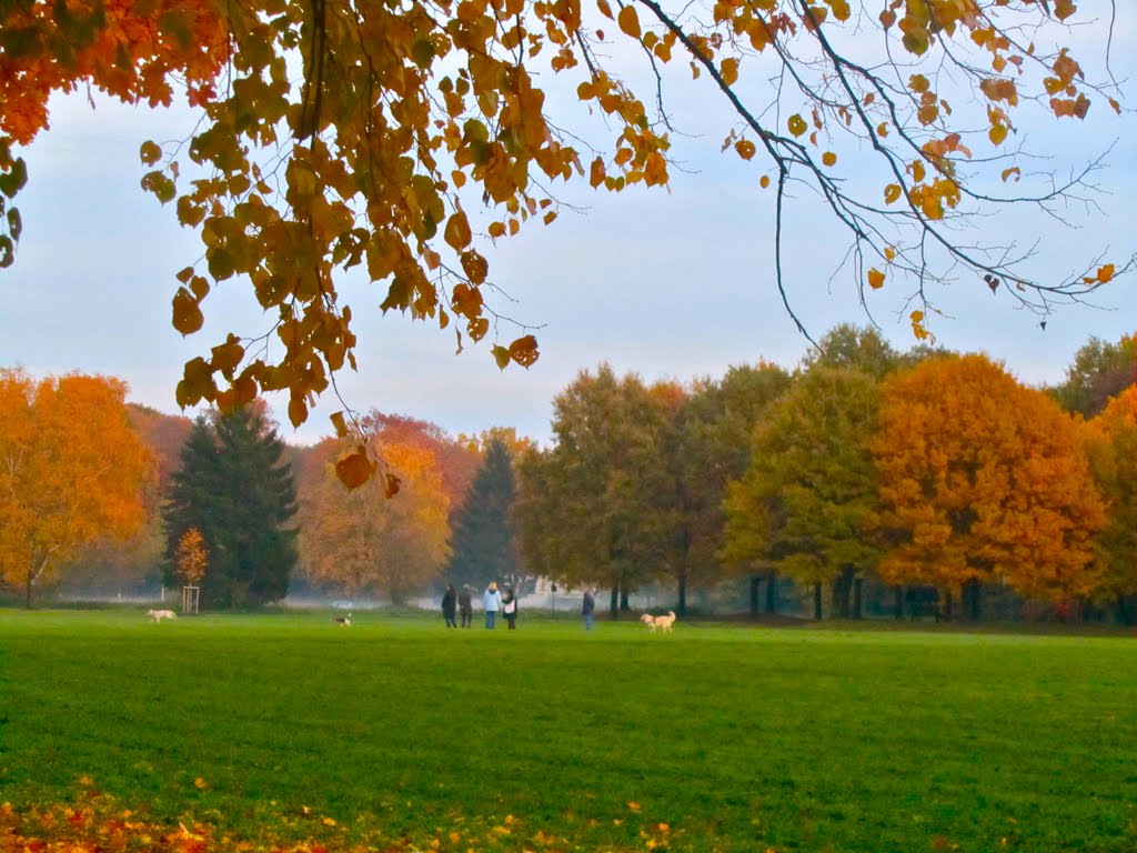 Hubertusstraße Garden by Kalpesh Jain