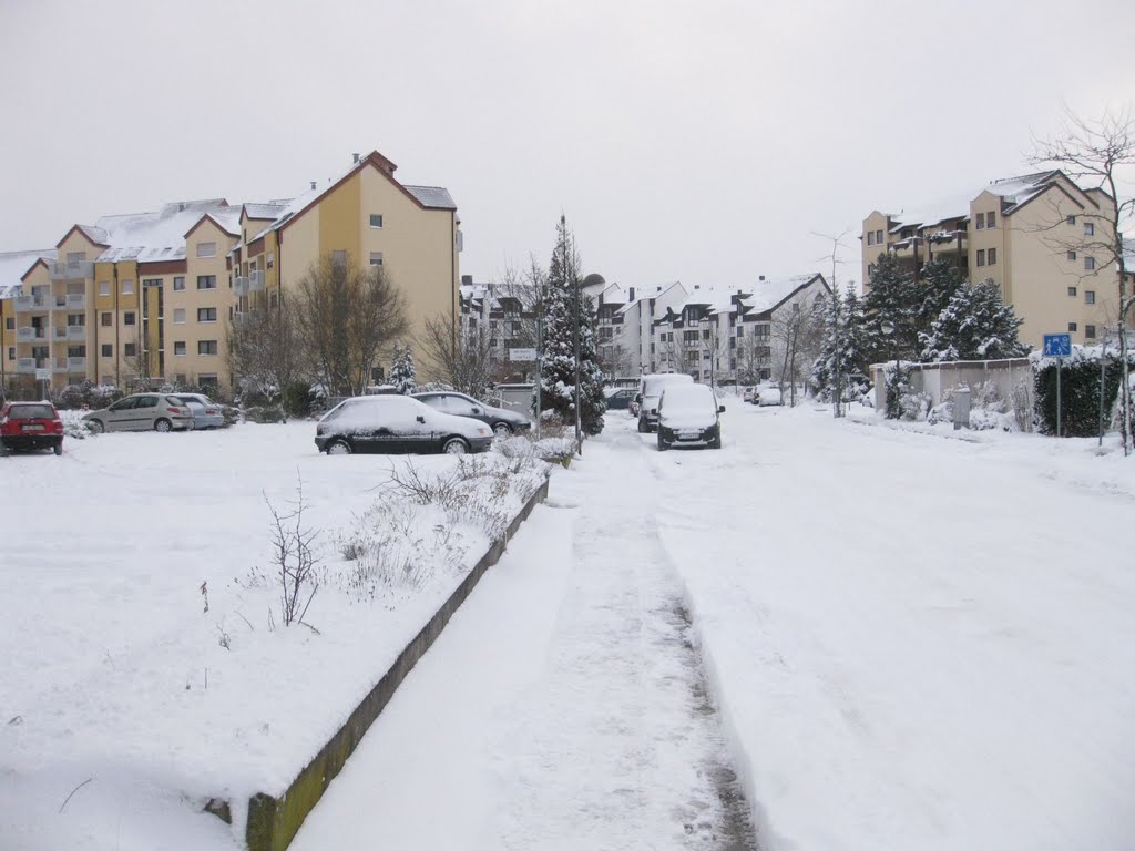 Neuschnee in der Albert-Einstein-Allee by Andreas-Müller - NO VIEWS