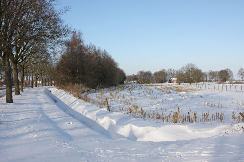 2010-12-25 winter bij Vriezenveen by gerritinvjenne