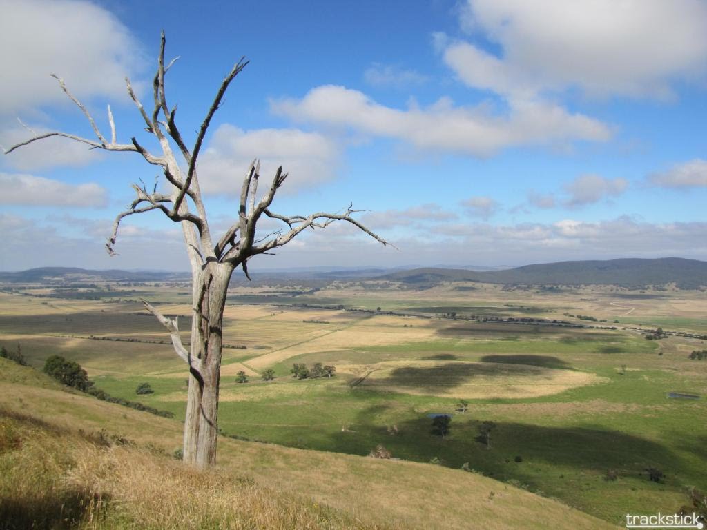 Lake George Plains from escarpment by Luke Johnston