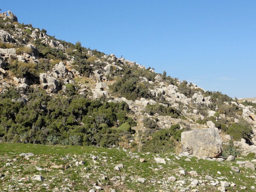 07190 Akkoç/Döşemealtı/Antalya, Turkey by Antalyalı