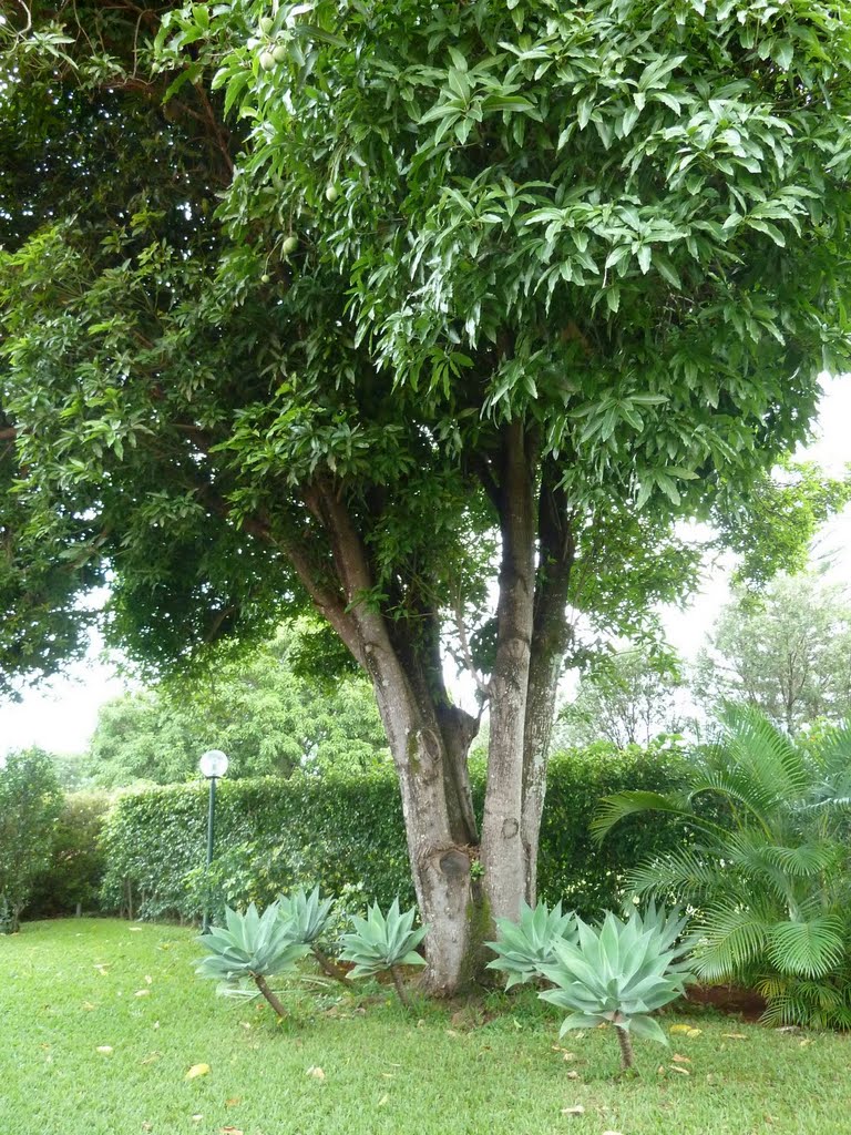 St. de Embaixadas Sul 807 - Brasília, DF, Brazil by ertigo