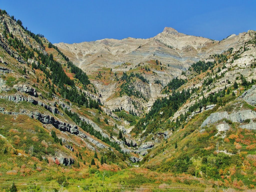 Provo Canyon in Fall by Dave Cannon