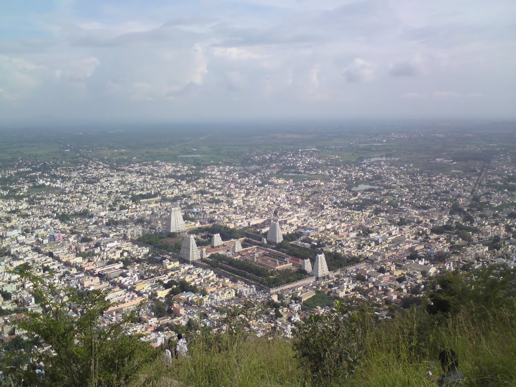 Arunachaleswarar Temple view from mountain by sambath_26