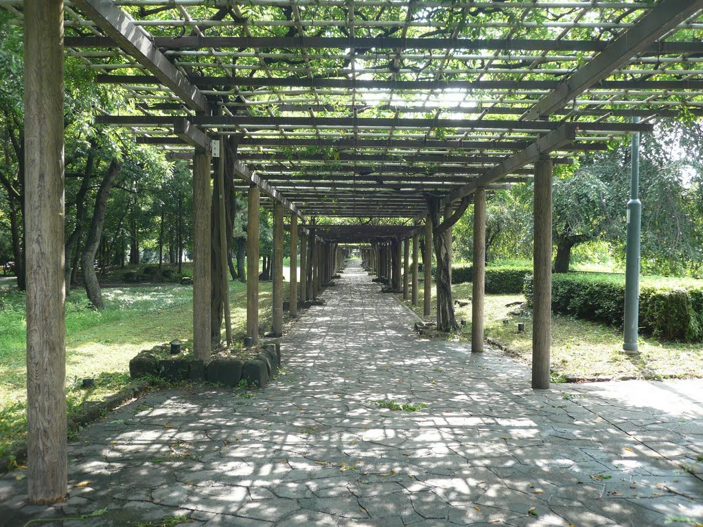 名城公園の藤棚 (愛知県名古屋市) (Wistaria trellis at Meijo Koen, Nagoya City, Aichi, Japan) by scarbo