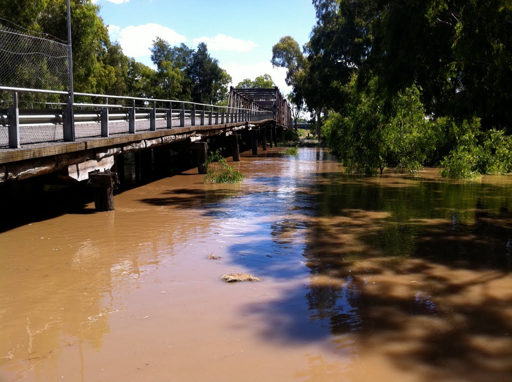 December Floods 2010: Old Hampden Bridge by snucklepuff