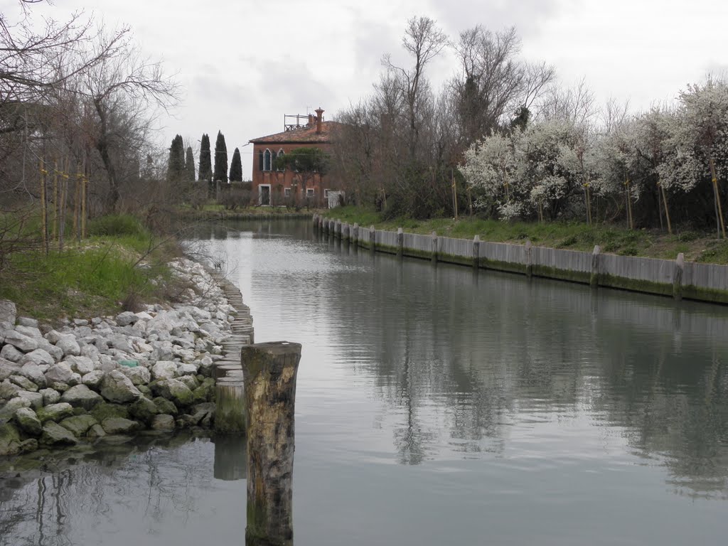 Venezia - Torcello by Willyco