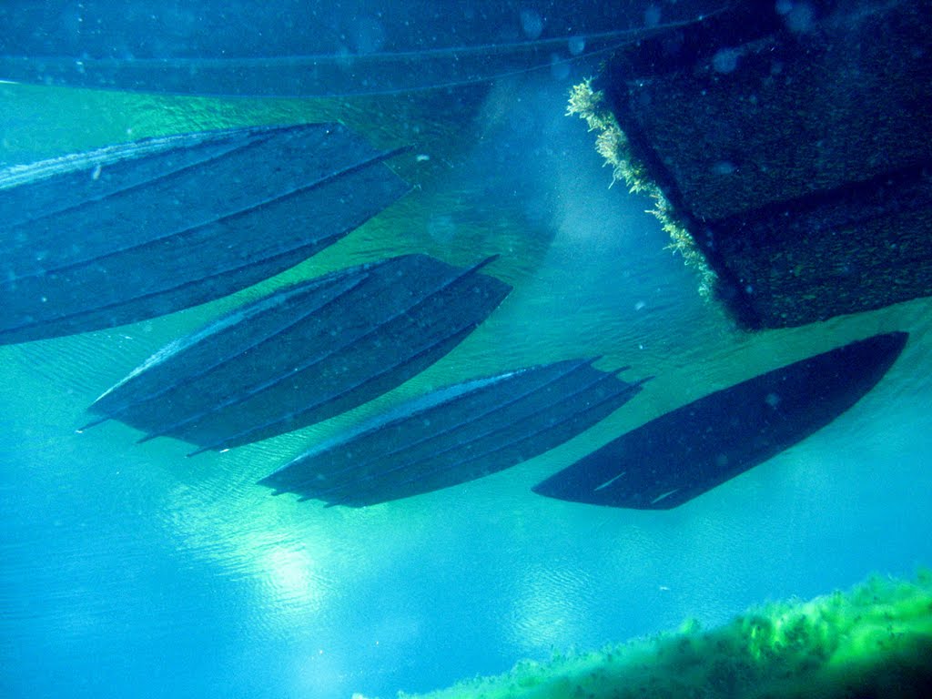 Underside of rowboats at Clear Lake dock by JannaNichols