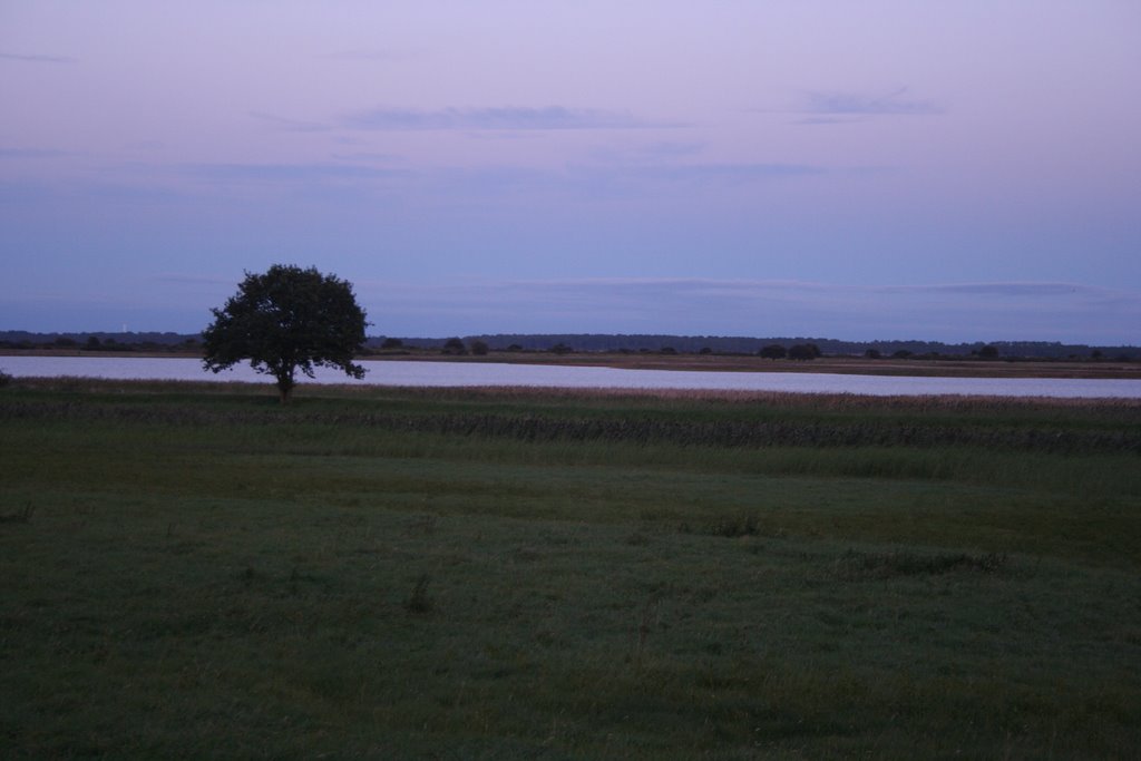 Boddenküste by Jost*