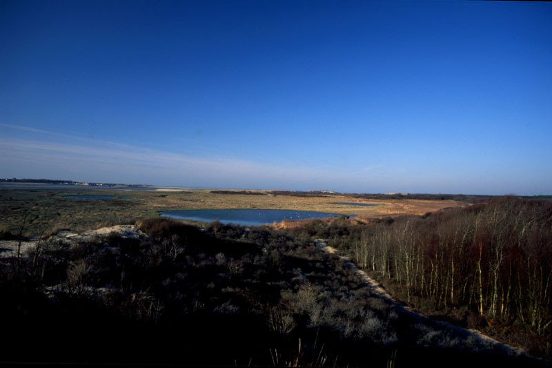 Baie de la Canche by Philippe Stoop