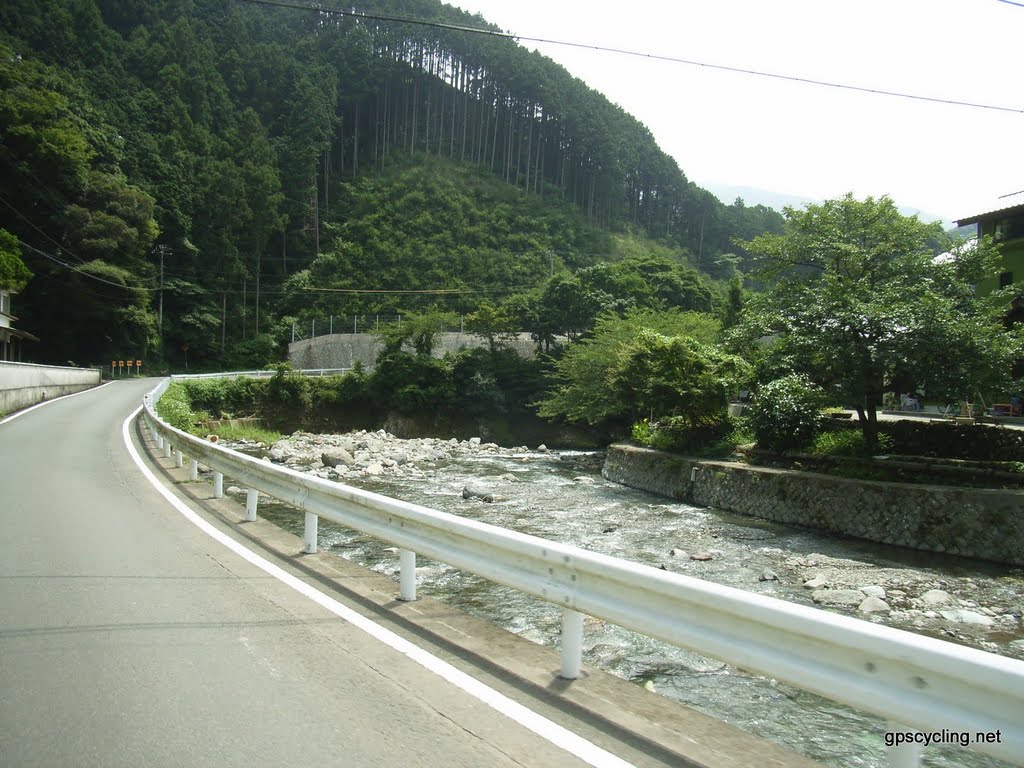 県道59号線 by Yobito KAYANUMA