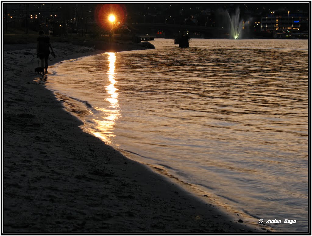 Stranden ved Strømsø by Audun Boge