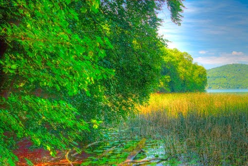 Laacher See by Peter Czadek