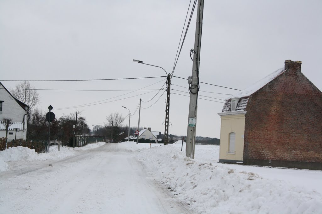 Snow on Ommegangstraat by DriesGeenens