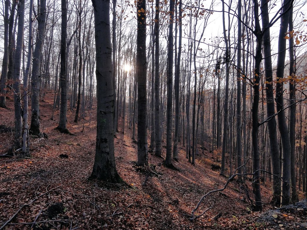 Herľany pass by CarmelH