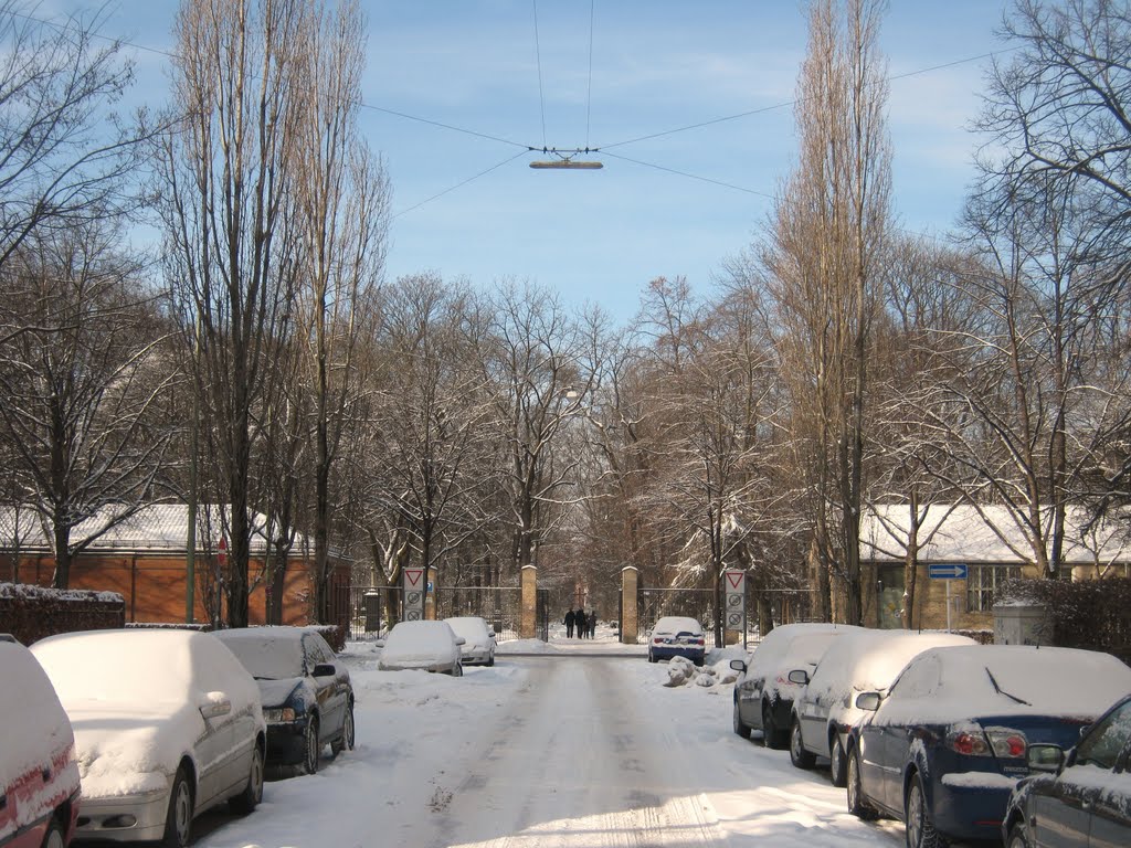 Eingang Alter Nordfriedhof by Christoph Rohde