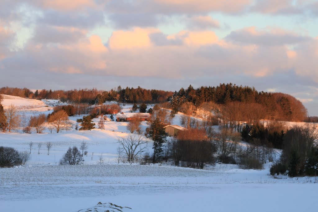 Thornshedevej Gærum Frederikshavn by elohardynielsen