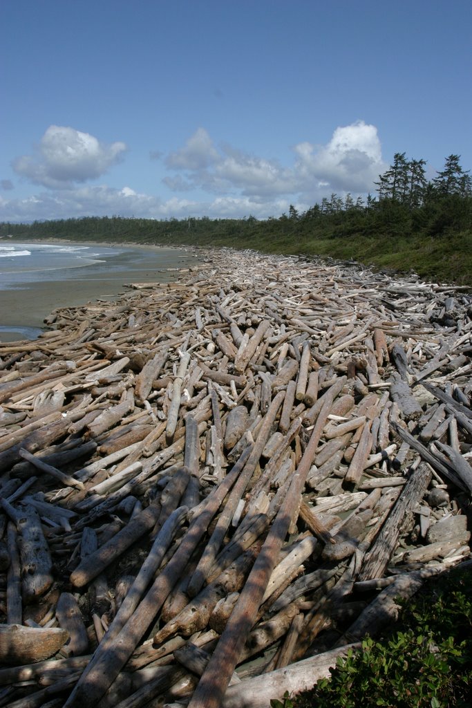 Wickaninnish Beach by www.coastalimages.ca