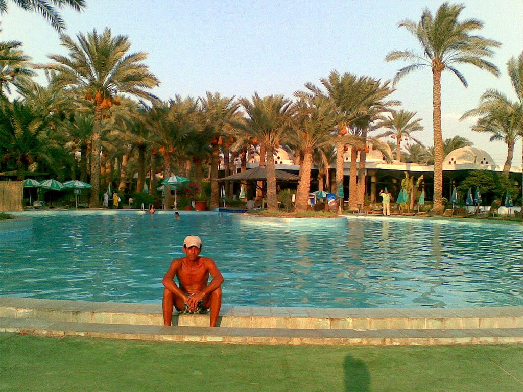 Sakkara Palm Club, Palm trees & overview of pool, Sakkara, Giza by Alaeddin Faruki