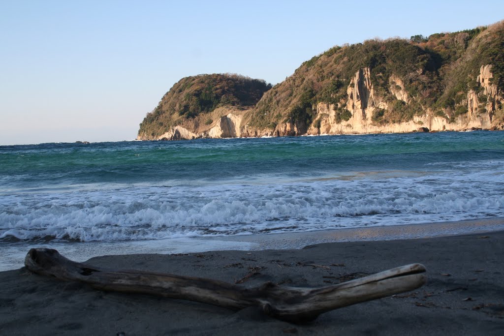 Driftwood and coast　IzuIwachi 伊豆岩地 by stargazer2893