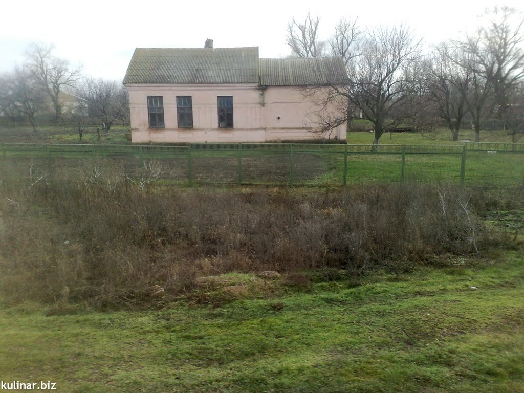 Svitlodolyns'ke, Zaporiz'ka oblast, Ukraine, 72340 by Владимир Переклицкий