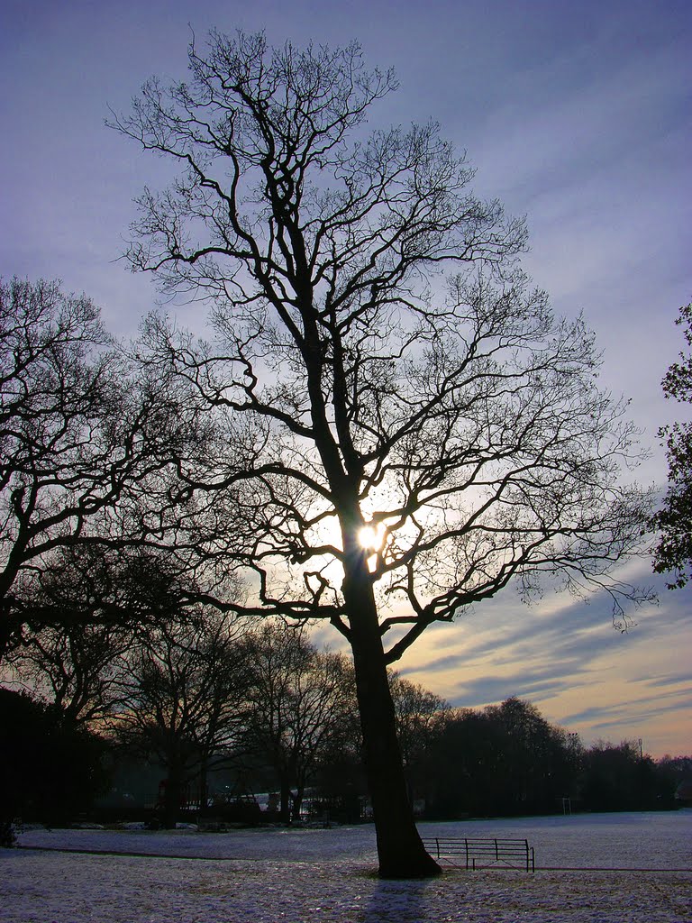 Wintery Sunset, Mermorial Park, Sandhurst by DAVID ROBINS