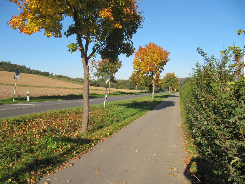 Fahrradweg Richtung Brensbach by Renrew