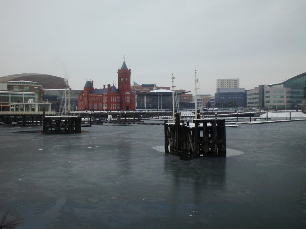 Cardiff bay frozen over by fat-freddies-cat