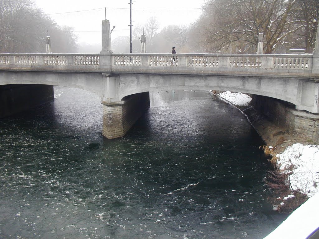 River taff frozen over by fat-freddies-cat