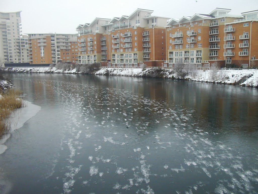 River taff frozen over by fat-freddies-cat