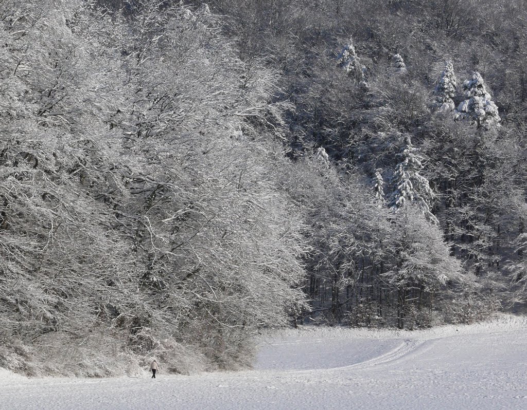 Winter im Zürcher Unterland (© Buelipix) by Buelipix