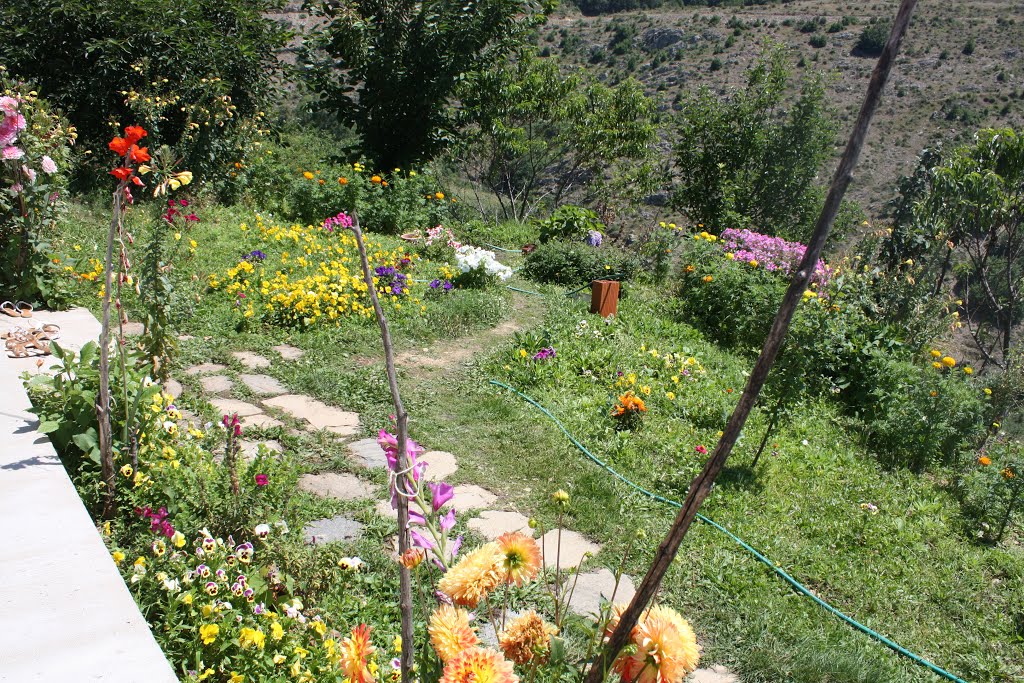 Beautiful garden outside a Chloi homestead by apnea