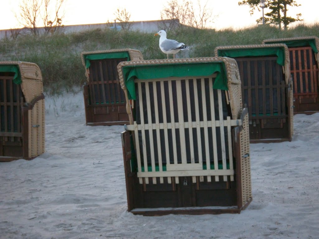 Im Mai auf Fehmarn, der Südstrand by Wiese Walter