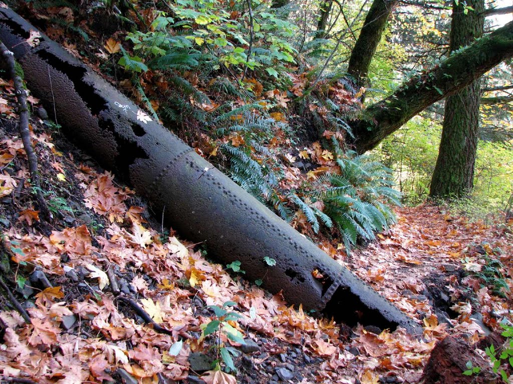 Flume pipe from Myron Kelly's 1890s pulp mill by Curious Gorge Guidebook