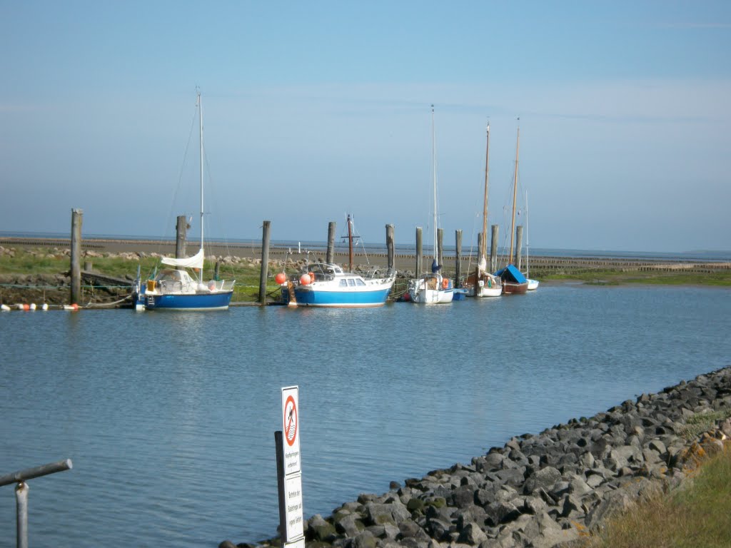 Anbaden in Spieker auf Eiderstedt by Wiese Walter