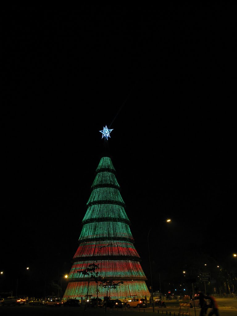 Christmas tree in Sampa by Marina Pizarro