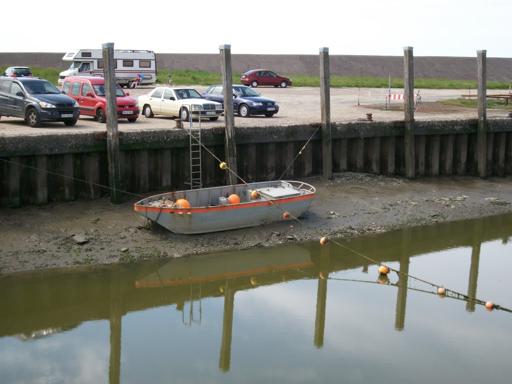 Anbaden in Spieker auf Eiderstedt, plus 4 Stunden by Wiese Walter