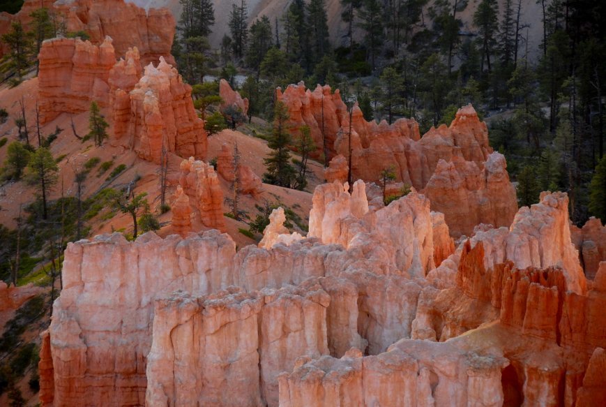 Morning Glow at Bryce Canyon by Hank Waxman