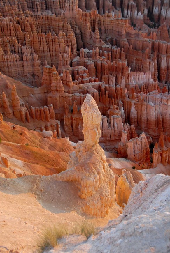 Early Morning at Inspiration Point by Hank Waxman