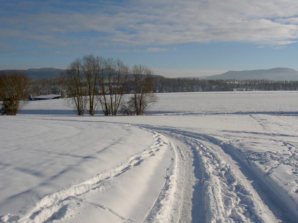 Nehren, Germany by Fotograf01