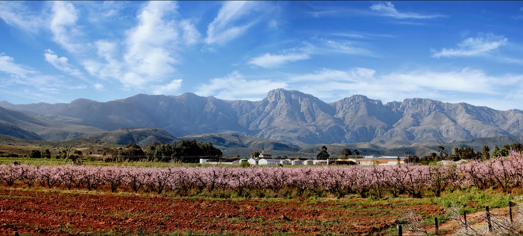 Blue Mountains around Robertson by B. van Zyl