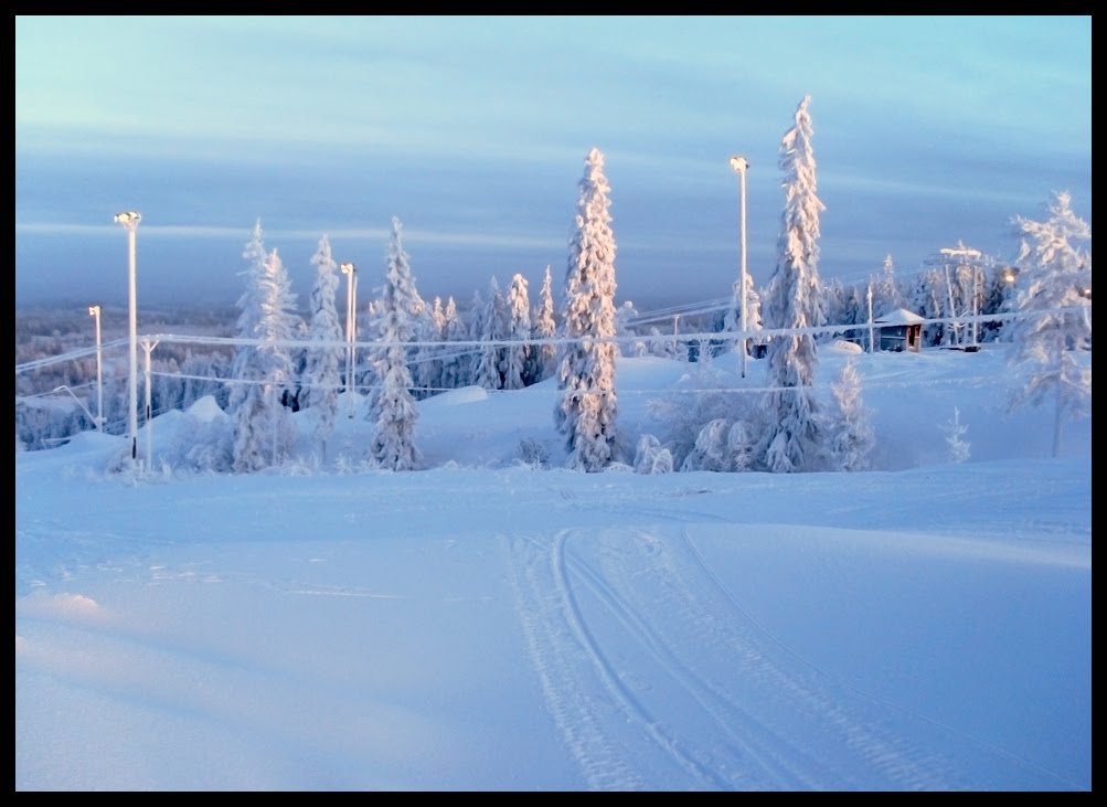 Cold day in Himos by Mallu Sommar