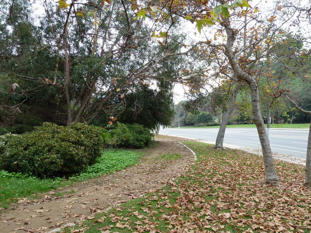 Temescal Canyon Park - December 25, 2010 by Alan Fogelquist