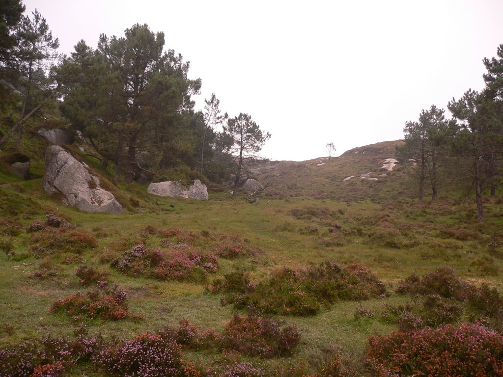 Serra do Xistral by santiv