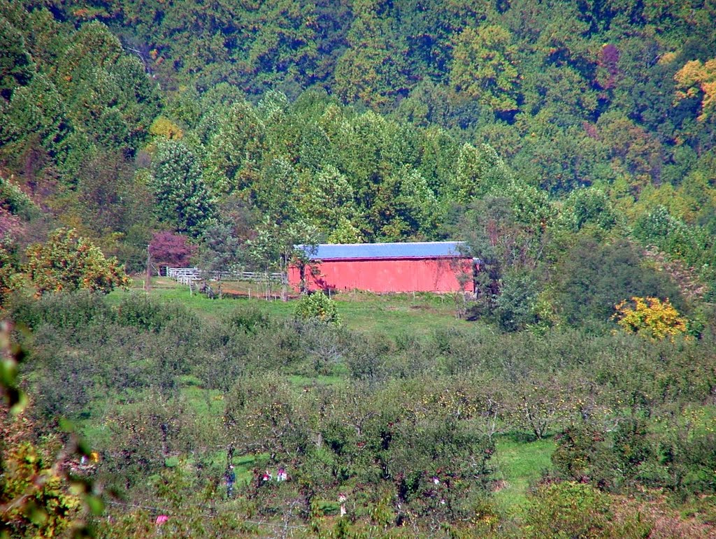 Graves Mountain Farm by Timothy Poe