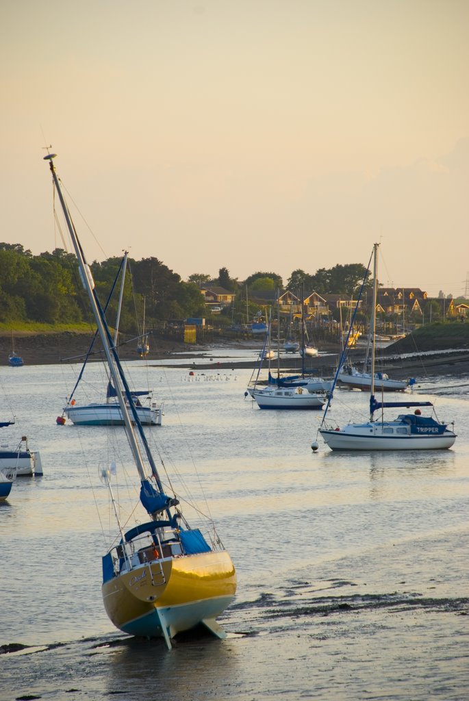 Waiting for the Tide by Lee Shepherd