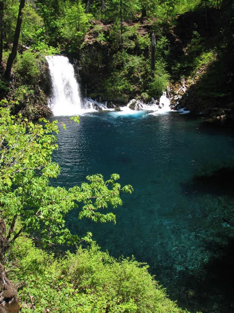 The actual Tamolitch Falls pouring into the Blue Pool by Bend Overall Guidebook