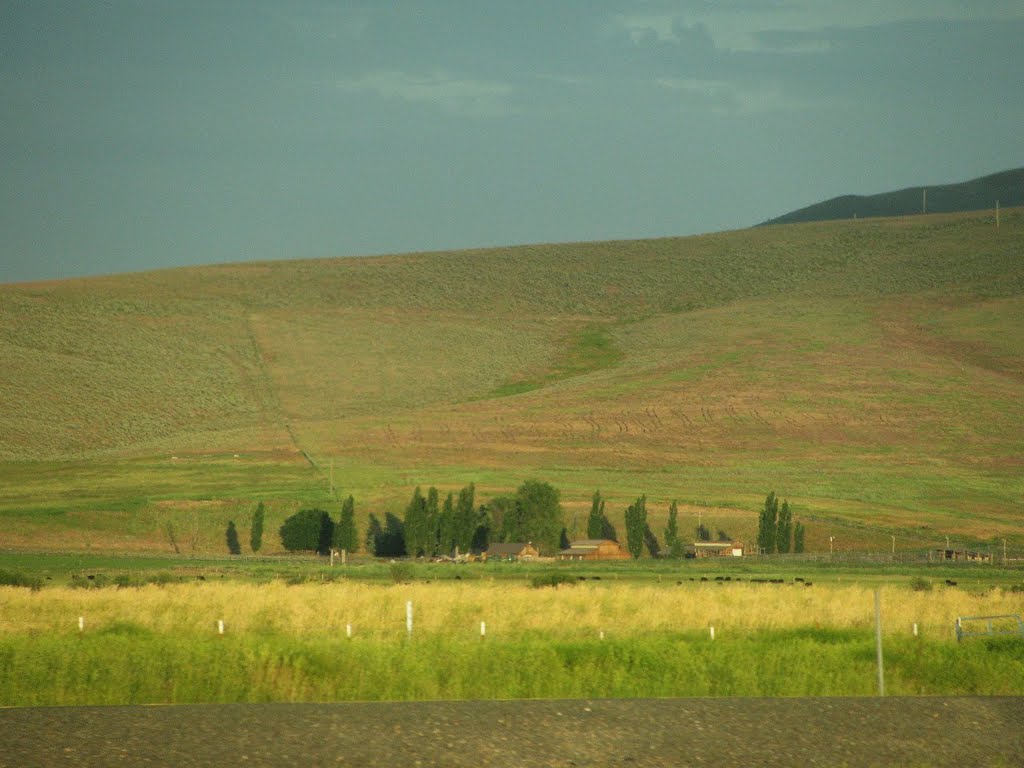 2010-07-10 - Oregon Farm/Ranch near North Powder, Oregon (Between La Grande and Baker City.) by deanstucker