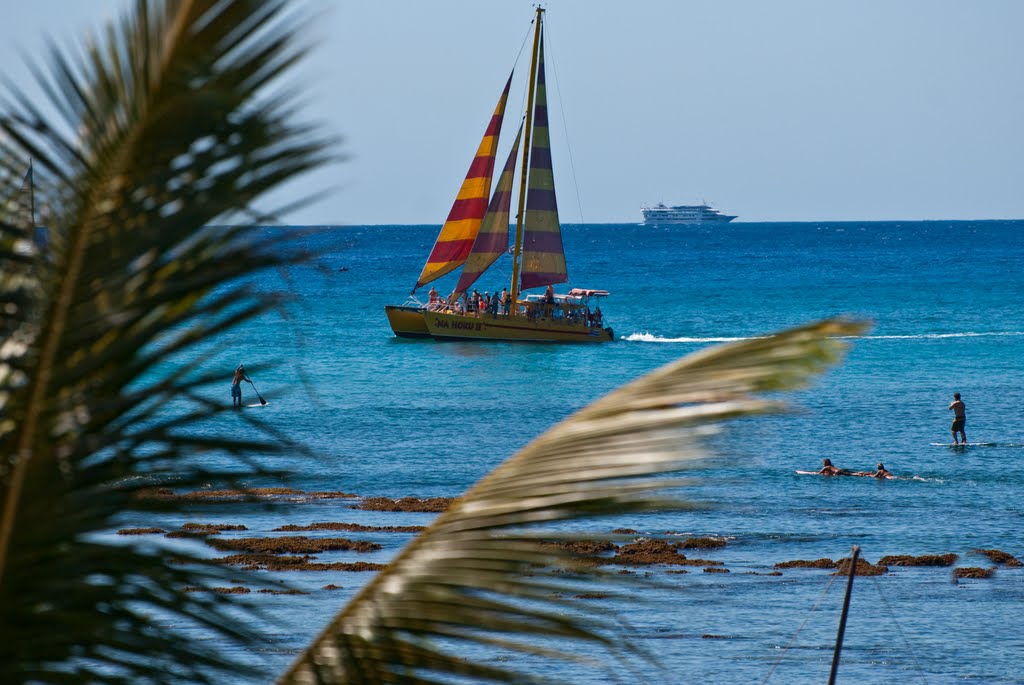 Let's go sailing - www.islandmemoriesphotography.com by Naomi Hayes Furukawa